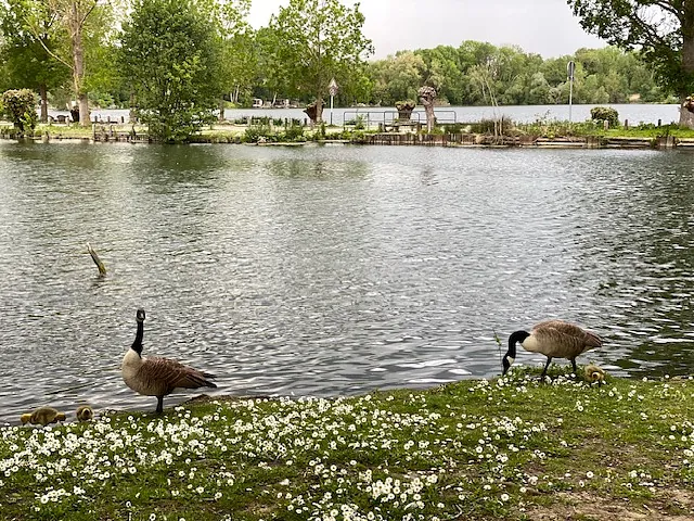 Les étangs de Vert-le-Petit